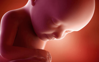 11 things unborn babies can do in the womb