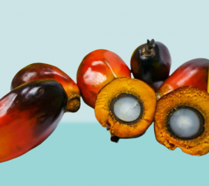 Is Palm Oil Bad For Your Skin