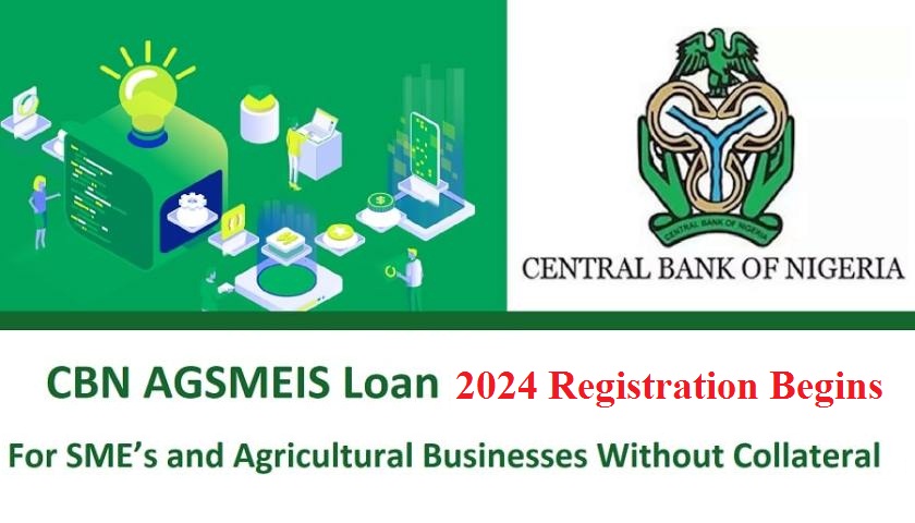 CBN Loan 2024 Application Form Portal