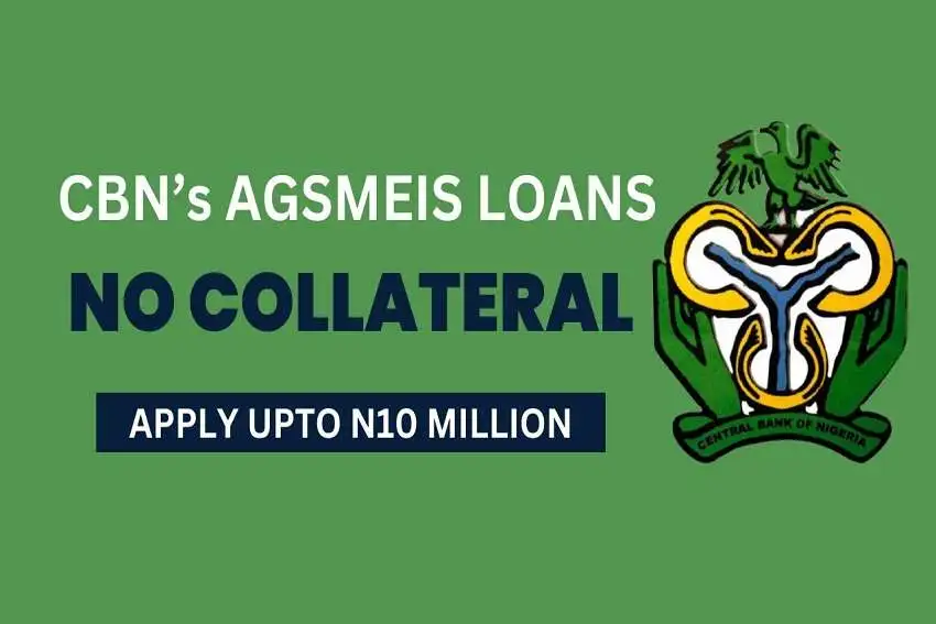 2024 Business Loans Without Collateral